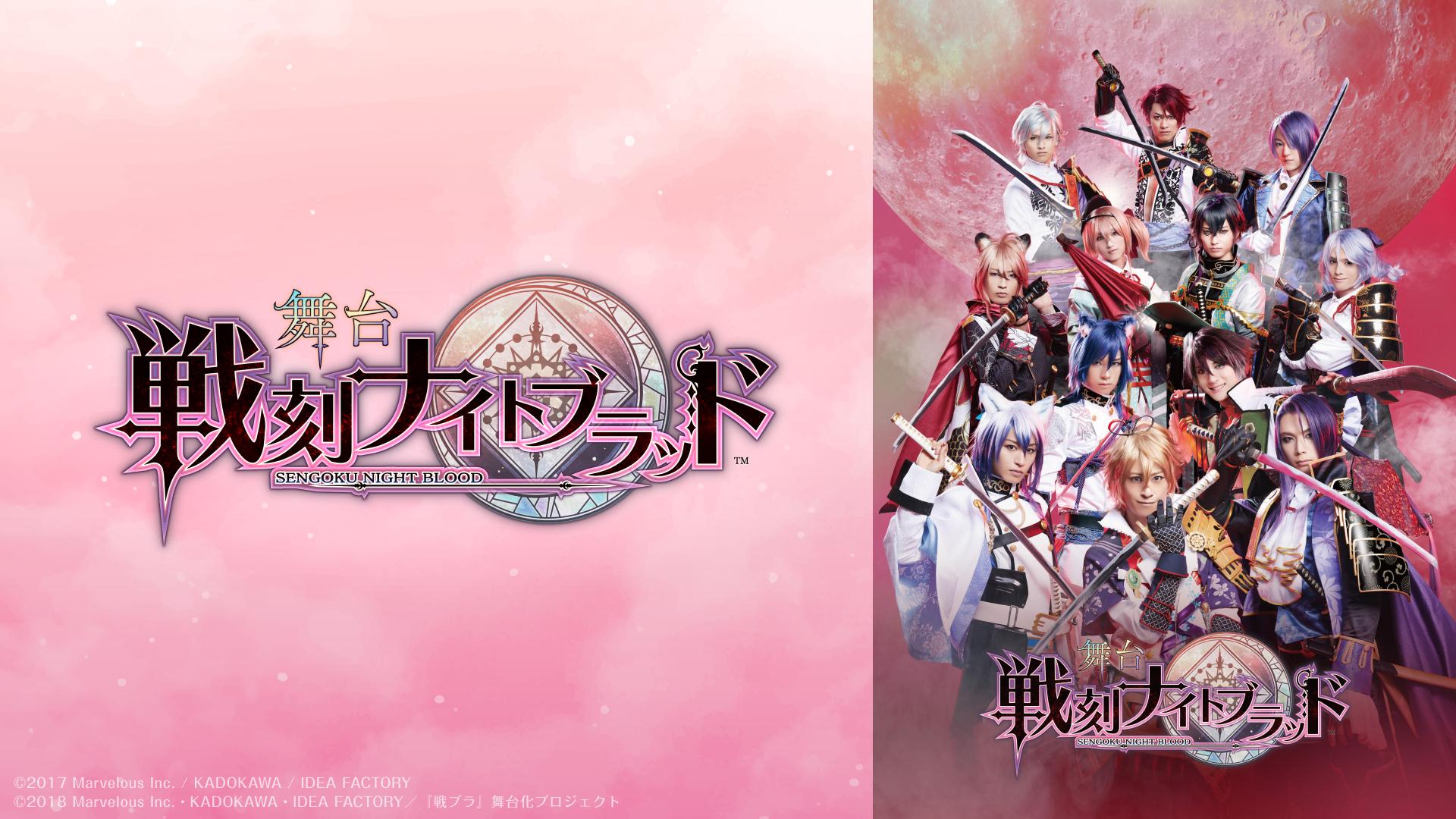 戦刻ナイトブラッド DVDセット「いいね！=即購入者のみ」 戦刻ナイト