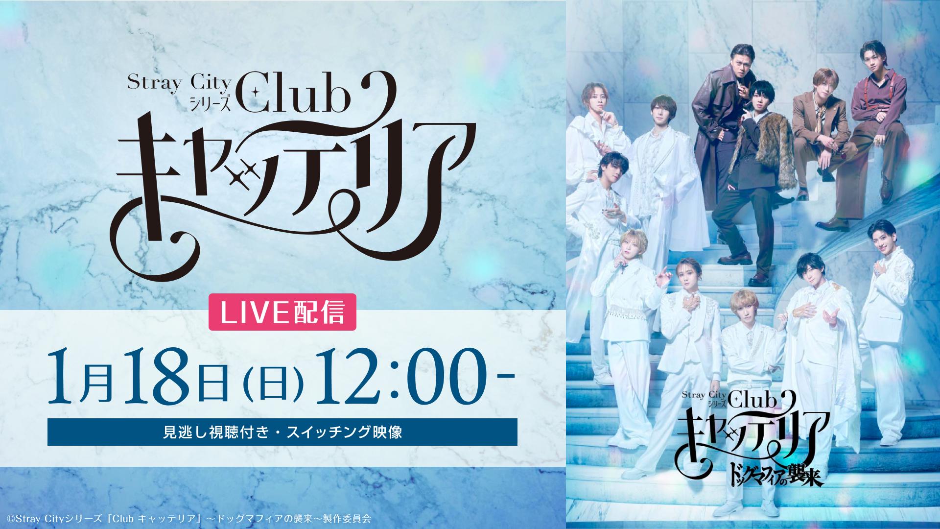 Stray Cityシリーズ「Club キャッテリア」〜ドッグマフィアの襲来〜【1月18日(日) 12:00公演】